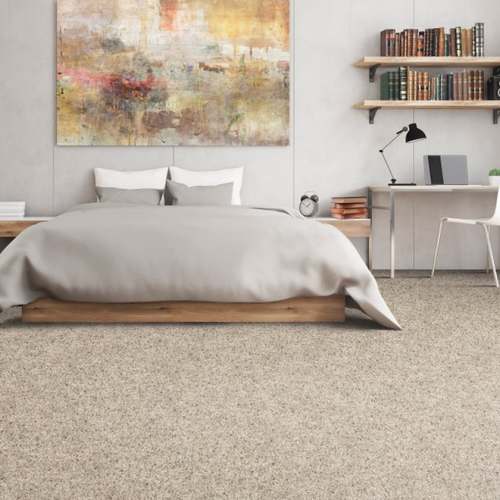 Living room with comfy carpet - Blended Moments-Castle Rock